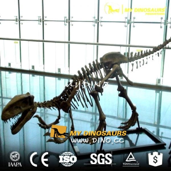 水晶宫恐龙模型是怎么制作出来的?