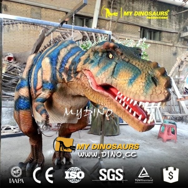 恐龙的模型有什么作用?可以用在哪些地方?