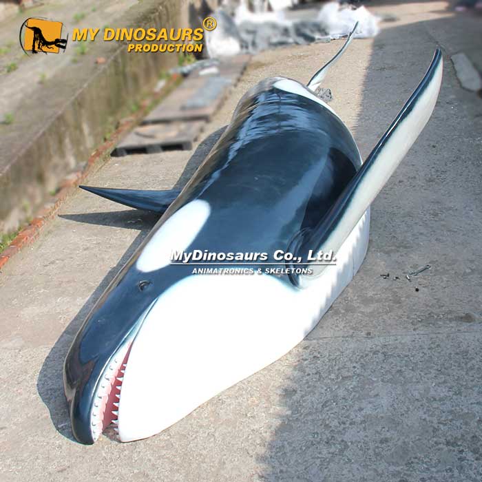 BL-064 海洋生物虎鲸杀人鲸玻璃钢模型 悬挂式摆件