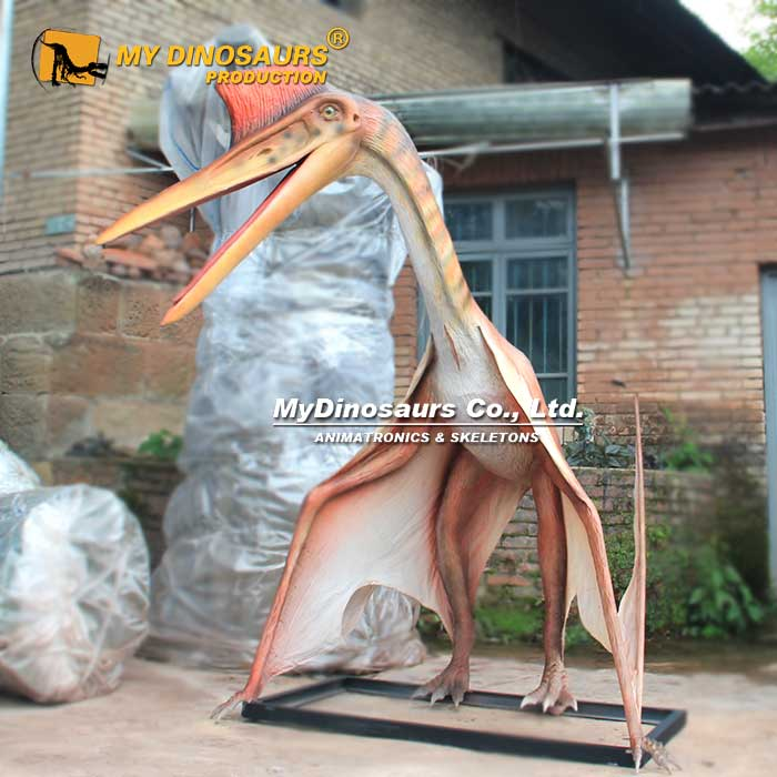 超大翼龙的种类有哪些，大型展览恐龙模型制作方法