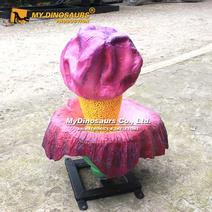 魔芋花模型可以做桌面摆件吗？定制一个迷你型尸香魔芋模型要多久？