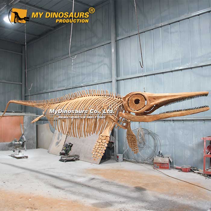 DS-230 悬挂式喜马拉雅鱼龙骨架 景区大型恐龙户外公园展览生物化石标本