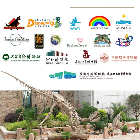 仿真恐龙模型-龙晨时代