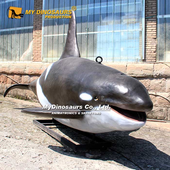 AA-192  龙晨时代手工制作电动发声动物模型—虎鲸
