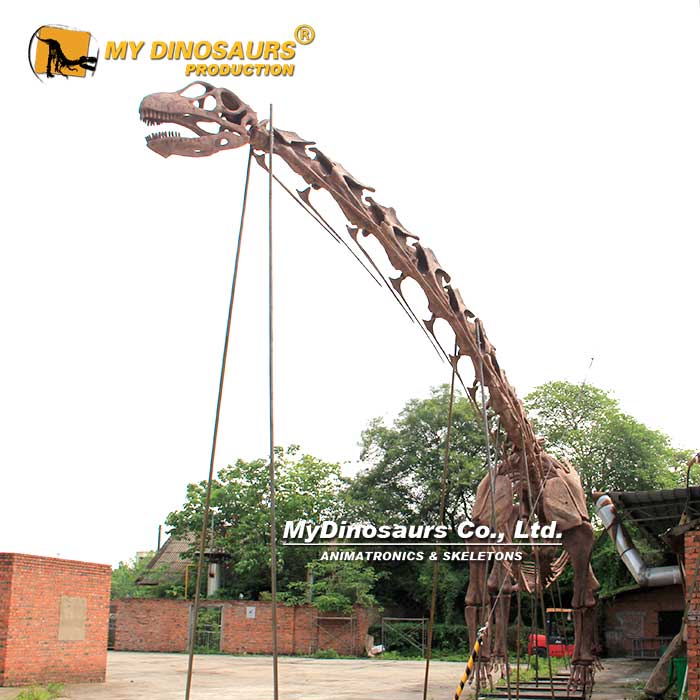 DS-262 超大型阿根廷龙恐龙骨架