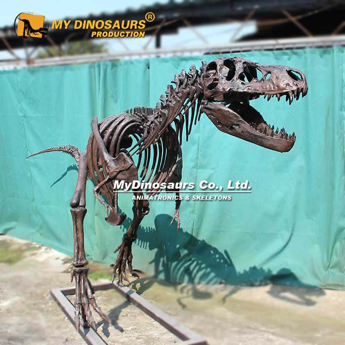 DS-268 霸王龙骨架模型 | 玻璃钢结构