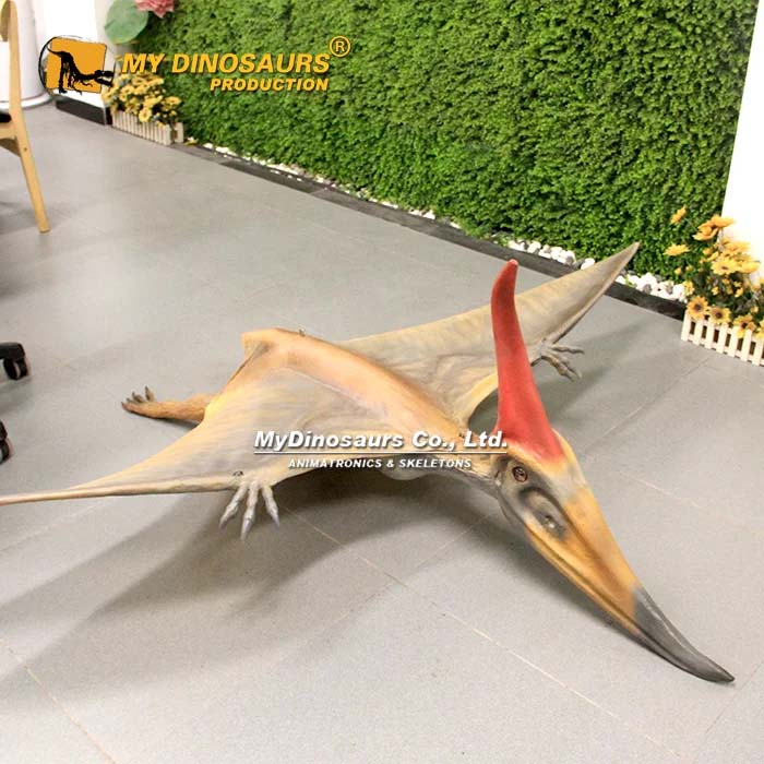 AD-341  小型翼龙静态模型