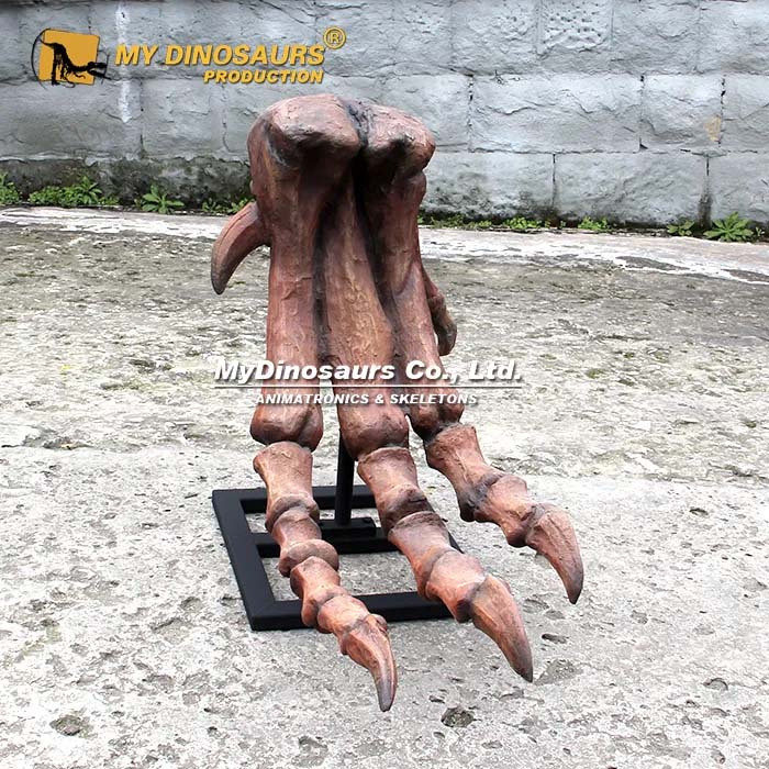 DS-272  恐龙足部骨骼模型  玻璃钢手工工艺