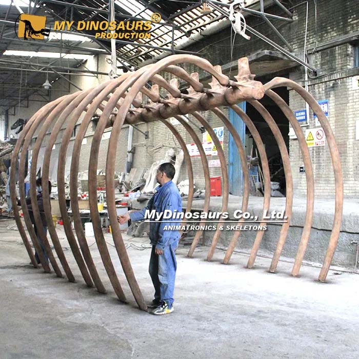 DS-271 恐龙骨架探索通道 恐龙肋骨通道