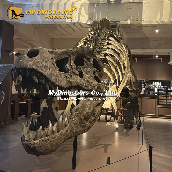 DS-284  霸王龙骨架科学复原模型 古生物特展艺术装置