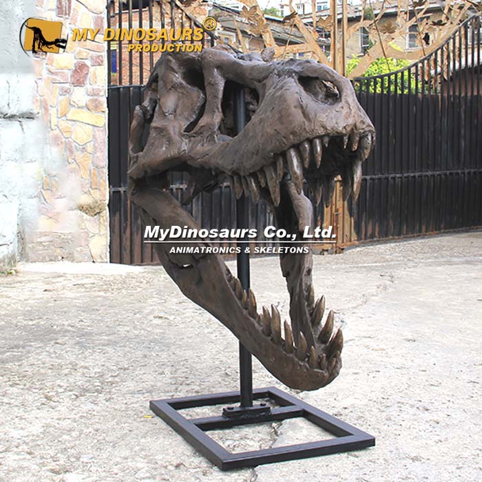 DS-281 玻璃钢霸王龙头骨化石 恐龙科普展馆展品摆件