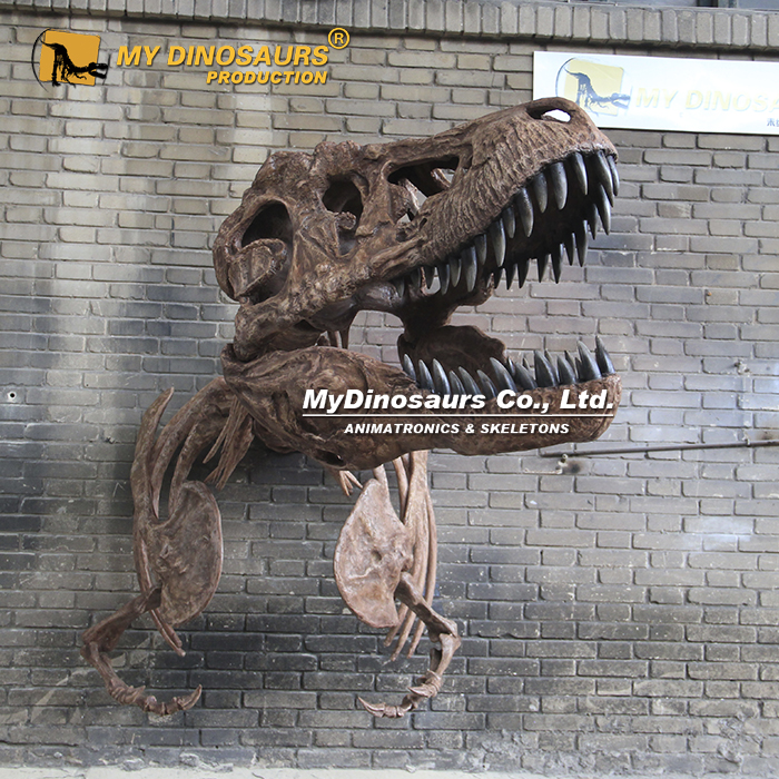 DS-283 壁挂式霸王龙半身骨架 墙面恐龙主题艺术陈设