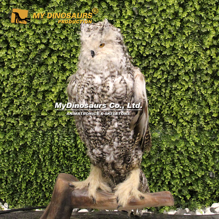 AA-229 仿真动态/静态猫头鹰模型 生态展馆鸟类科普展品