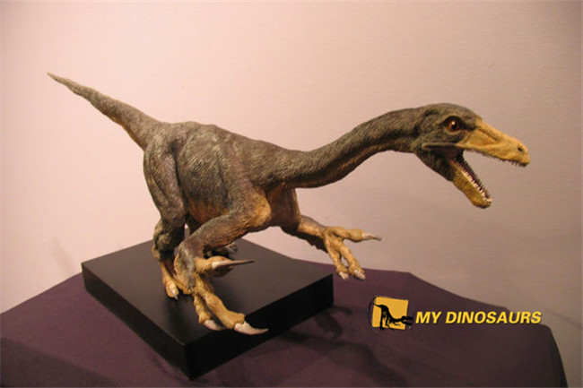 儿童恐龙玩具5.png