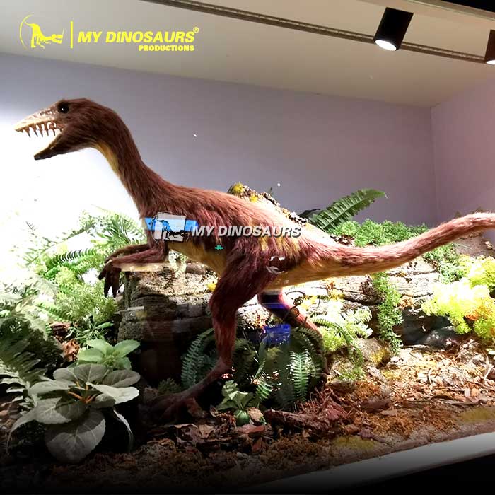 Sinornithosaurus-model