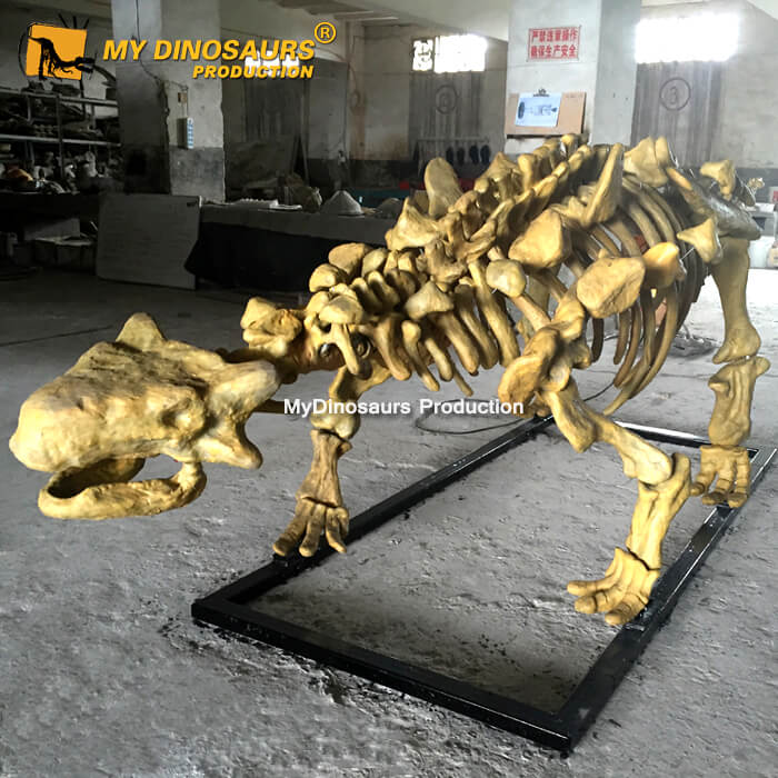 Ankylosaur skeleton