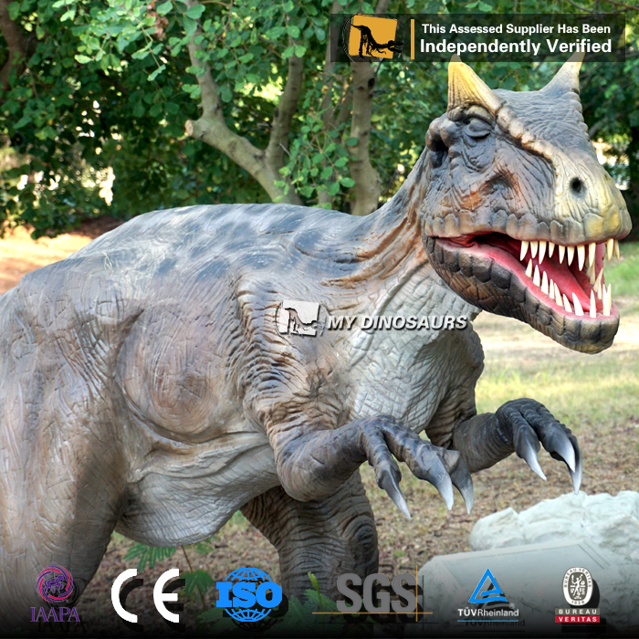 Ceratosaurus model
