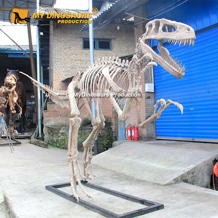 Utahraptor-skeleton-1