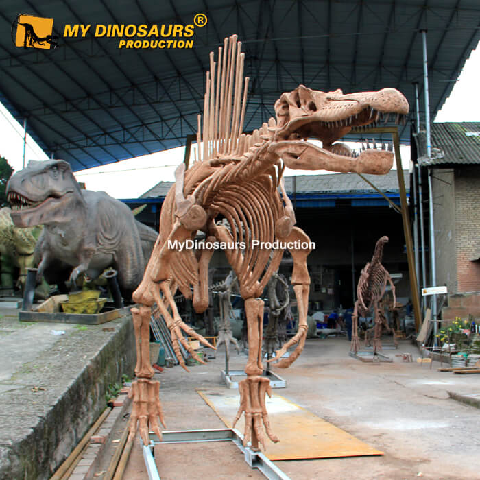 Spinosaurus skeleton 1