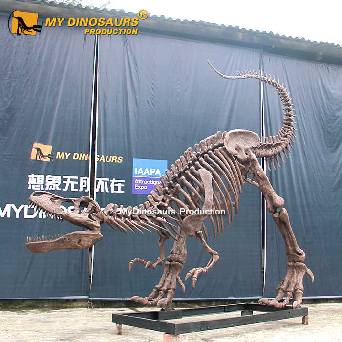 模型恐龙骨架制作方式2