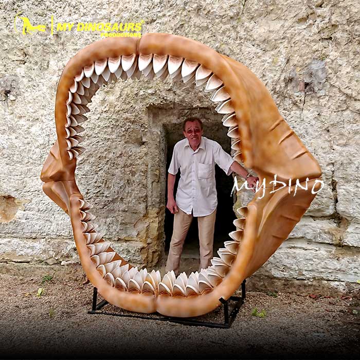 megalodon-jaw-fossil