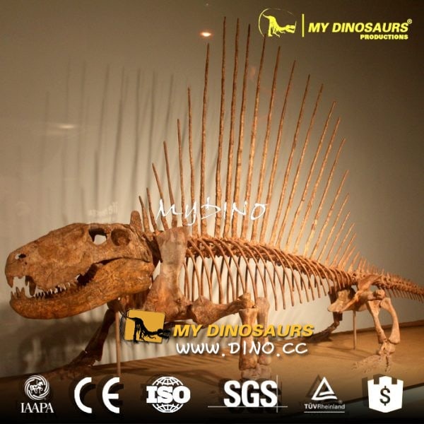 dimetrodon-skeleton-e1484892886595.jpg