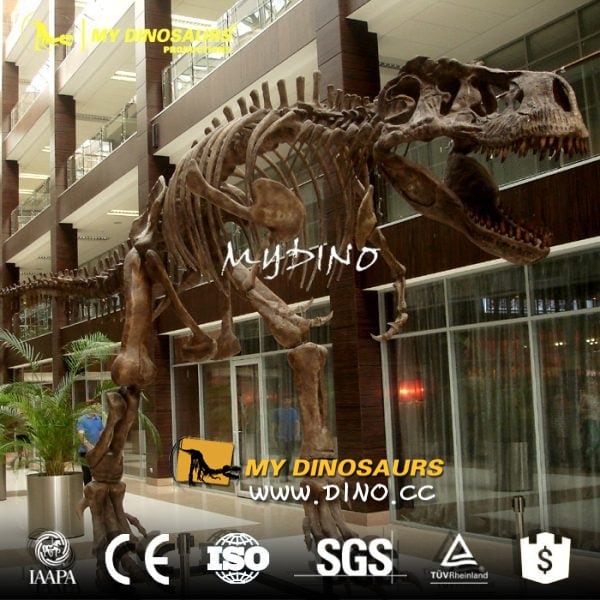 life-size-dinosaur-skeleton-model-e1484880382342.jpg