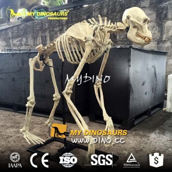 仿真恐龙模型
