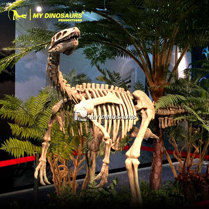 Herrerasaurus-skeleton-1