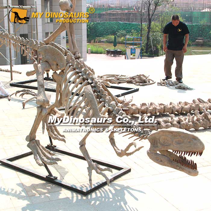 Gasosaurus-skeleton-1