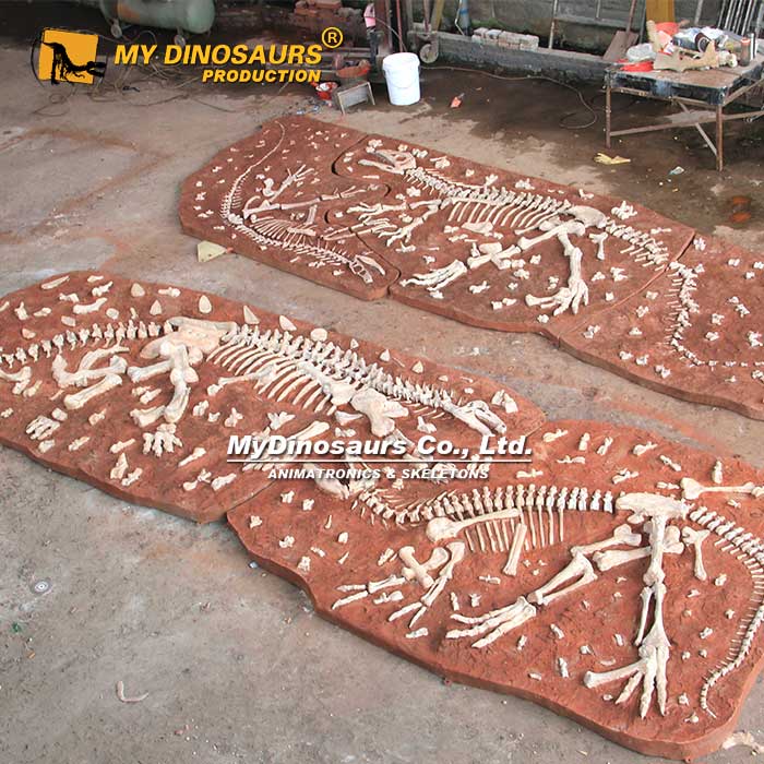 Dinosaur-Fossil-Plate