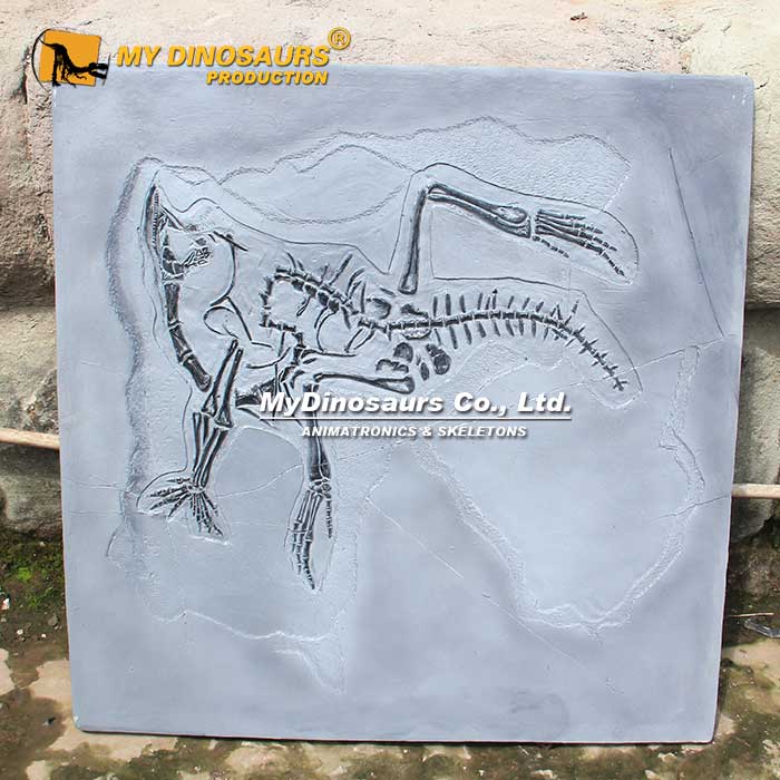 Dinosaur-Fossil-Plate-2