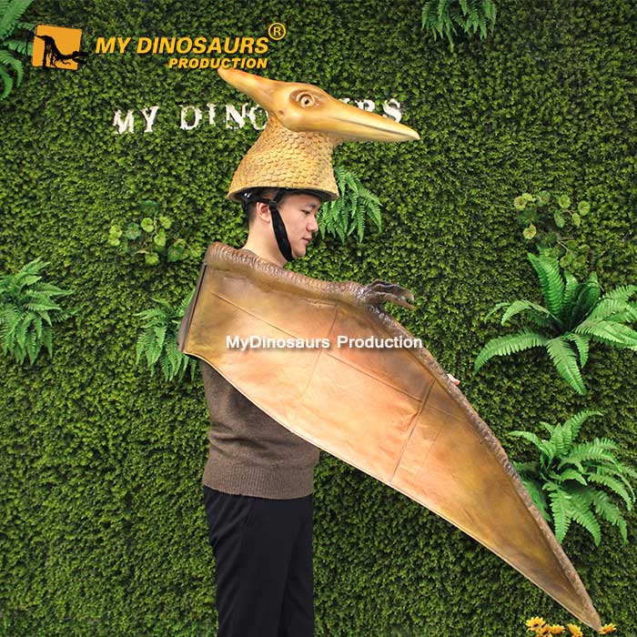pterosaur-costume-5jpg