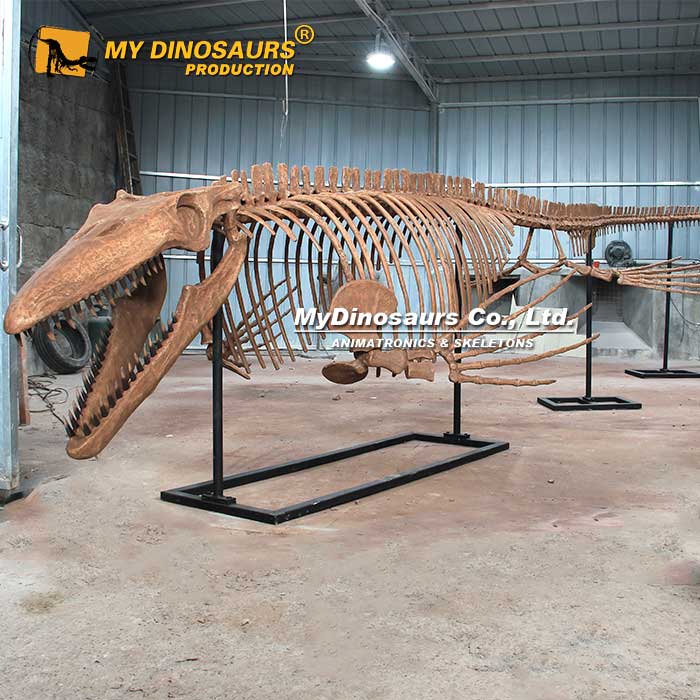 tylosaurus-skeleton-2