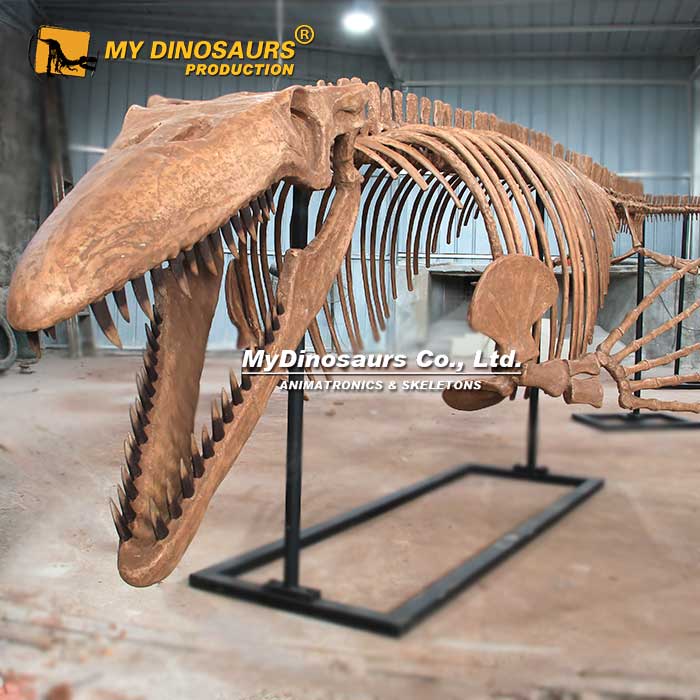 tylosaurus-skeleton
