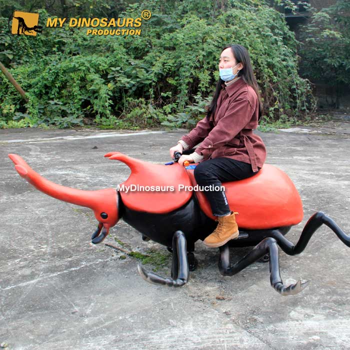 昆虫模型 昆虫模型.jpg