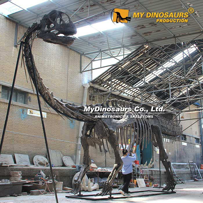 博物馆里的恐龙骨架是真的吗