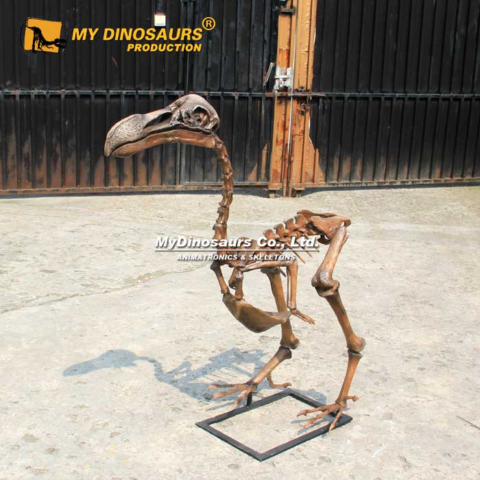 Dodo-Bird-Skeleton