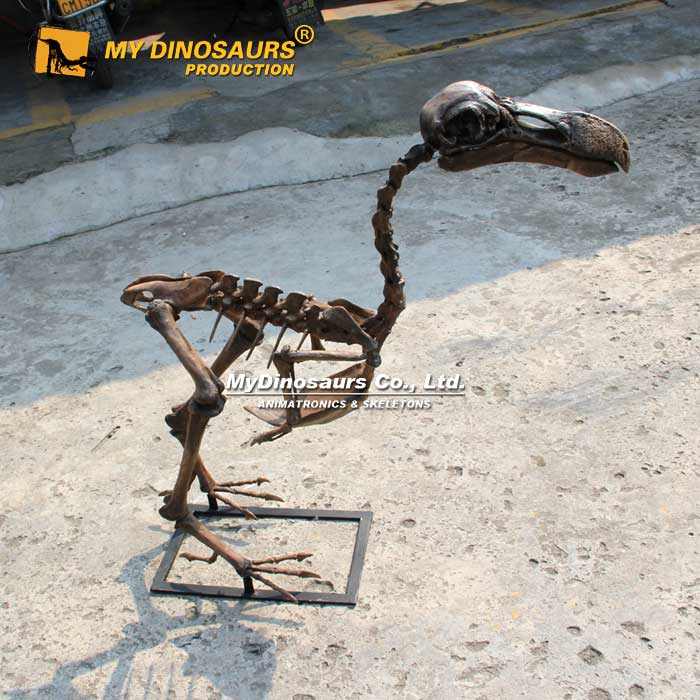 Dodo-Bird-Skeleton-3