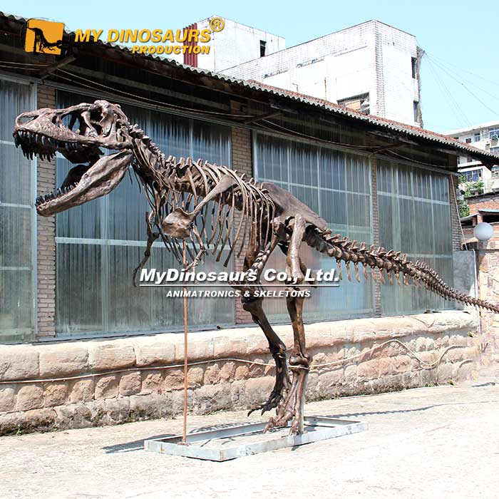 T-rex-skeleton-replica