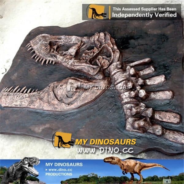 恐龙化石模型：时间隧道中的逼真重现与科学解谜