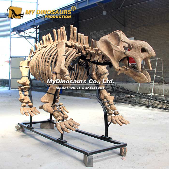 Kannemeyeria-skeleton-2 Kannemeyeria-skeleton-2