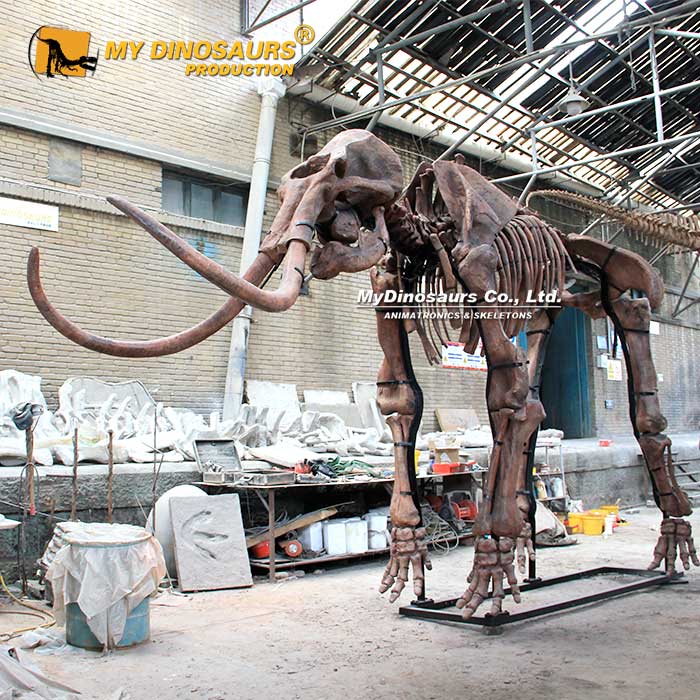 mammoth-skeleton-museum-replica mammoth-skeleton-museum-replica