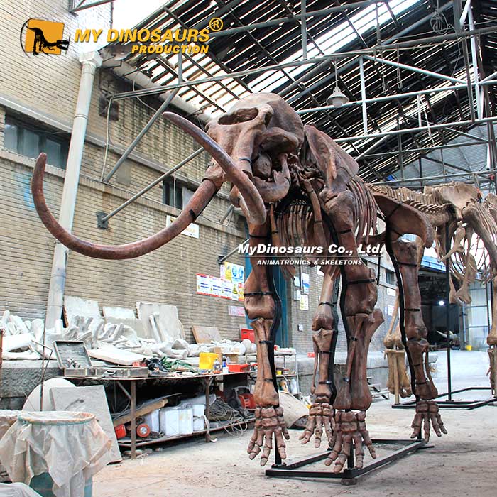 mammoth-skeleton-museum-replica-1 mammoth-skeleton-museum-replica-1