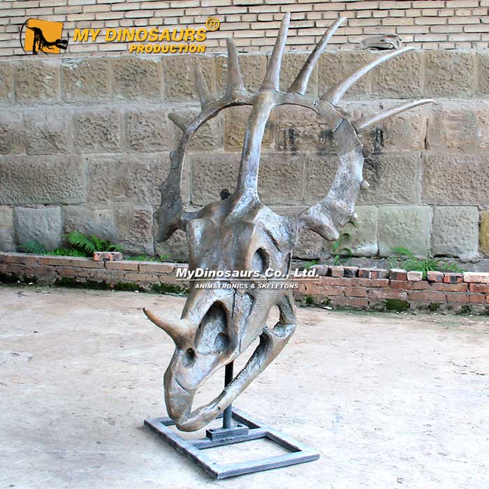 Styracosaurus-skull-3