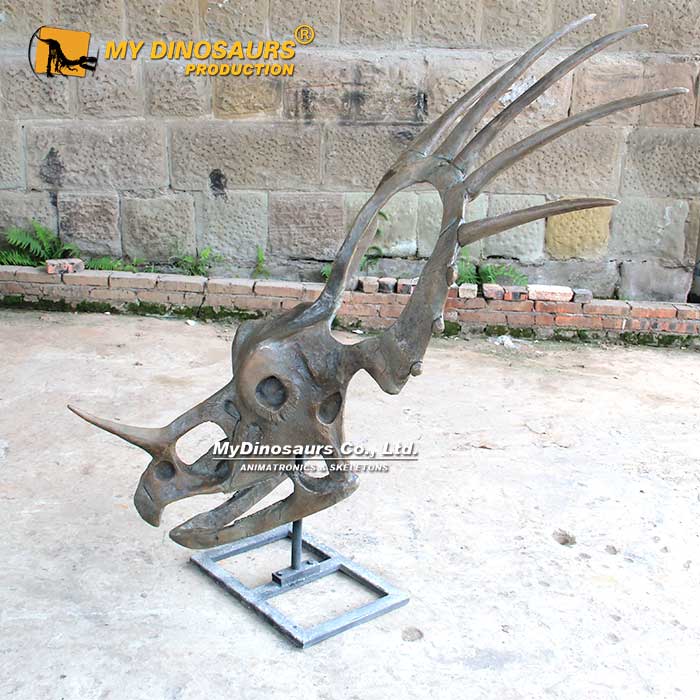 Styracosaurus-skull-1