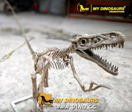 古生物化石模型.png