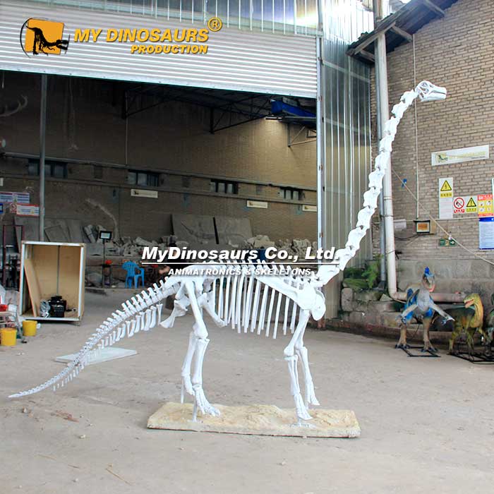 Customized-dinosaur-skeleton