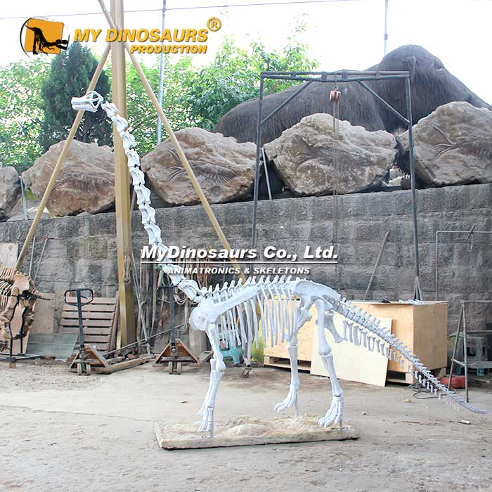 Customized-dinosaur-skeleton-2 Customized-dinosaur-skeleton-2