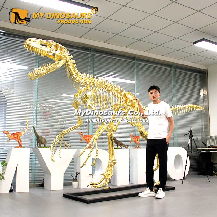 Gold-Utahraptor-Skeleton-3 Gold-Utahraptor-Skeleton-3